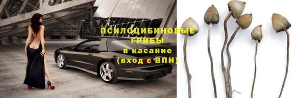 дживик Алзамай