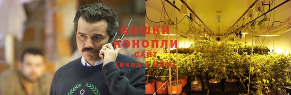 ГАЛЛЮЦИНОГЕННЫЕ ГРИБЫ Алексин