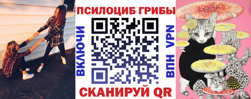 Галлюциногенные грибы мицелий  Ефремов 